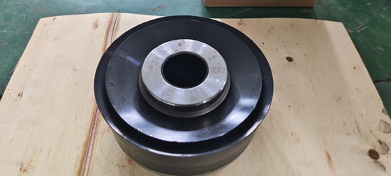 Assemblage de piston de pompe à boue de 6 pouces pour les pièces de pompe à boue WH1612