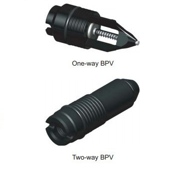 Une valve bi-directionnelle TWCV BPV 2" de contre-pression de manière à 6-1/16 »